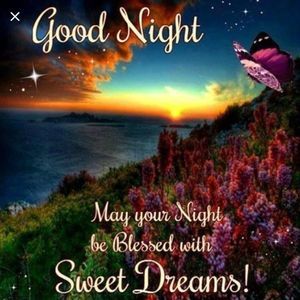 Meet your Posher, Christy